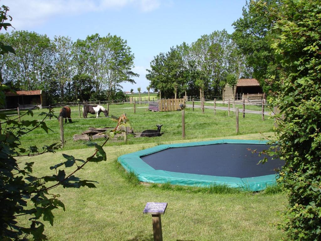 B&B En Vakantiehuisje Ursula Workum Rum bild