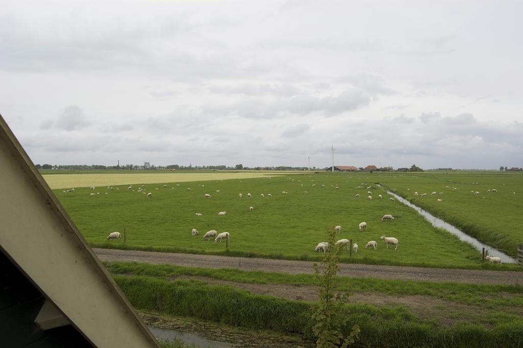B&B En Vakantiehuisje Ursula Workum Exteriör bild